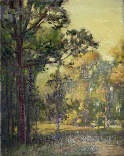 Summer Clearing