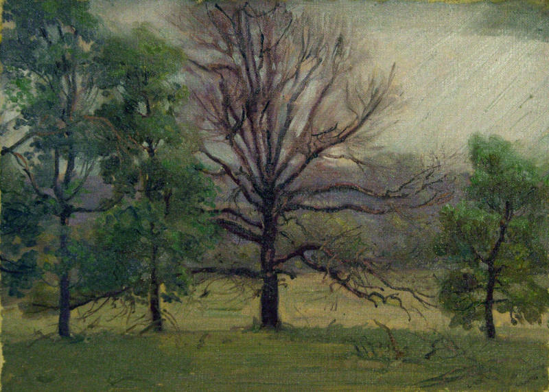 Grove of Trees with Bare Tree