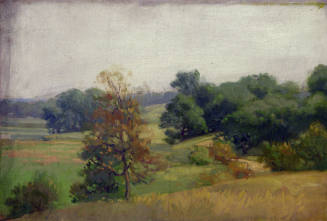 Rolling Hills, Summer