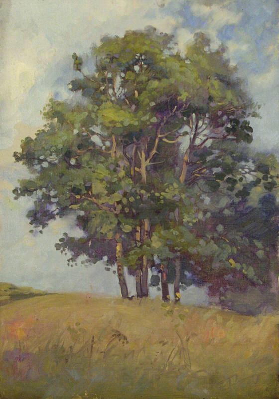 Grove of Five Tall Trees