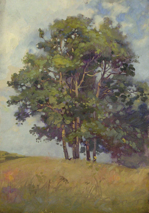 Grove of Five Tall Trees