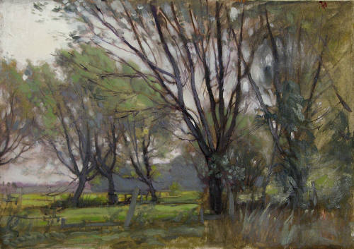 Grove of Trees with Fence