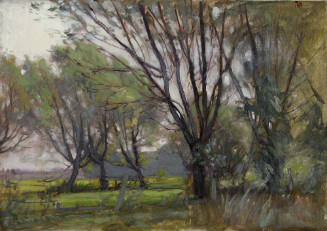 Grove of Trees with Fence