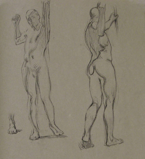 Nudes