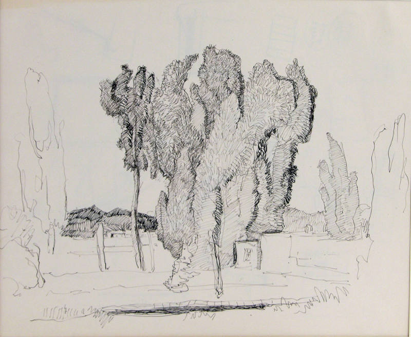 Untitled (trees)