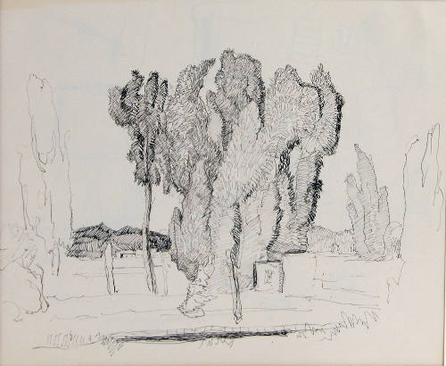 Untitled (trees)