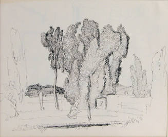 Untitled (trees)