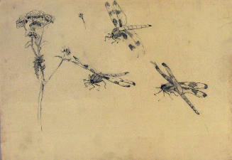 Untitled (Three Dragonflies)