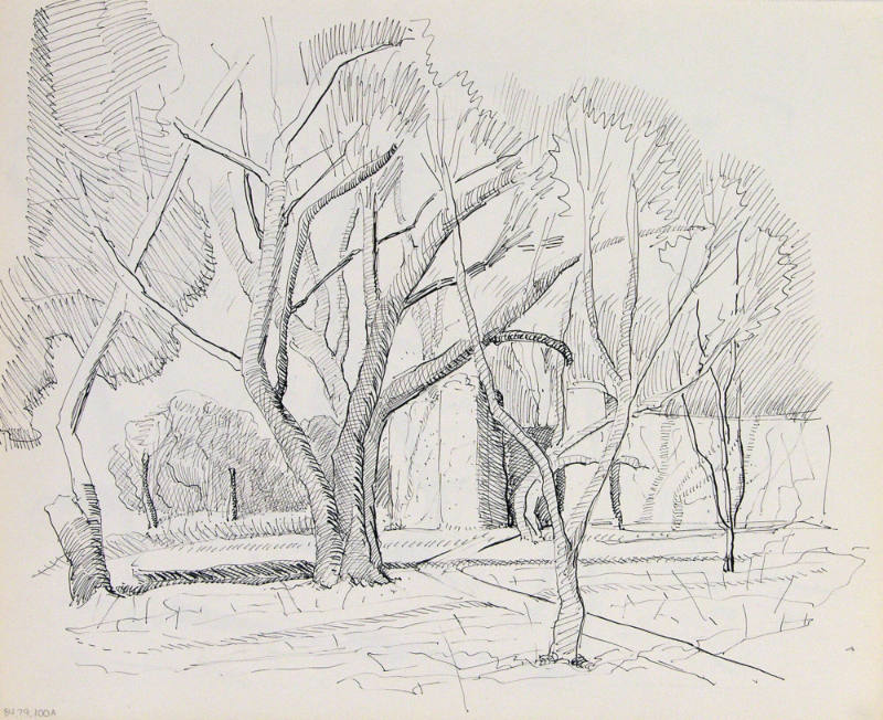 Untitled (Trees and Adobe Wall)