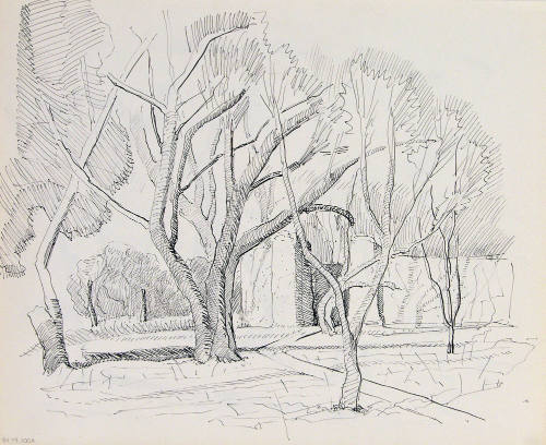 Untitled (Trees and Adobe Wall)