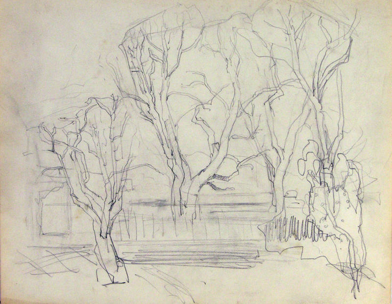 Untitled (Trees)