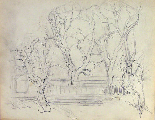 Untitled (Trees)