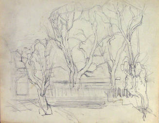 Untitled (Trees)
