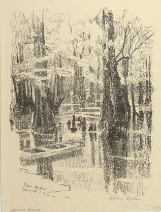 Cypress Swamp