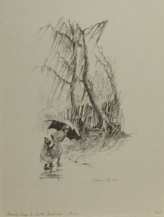 Rainy Day in South Carolina