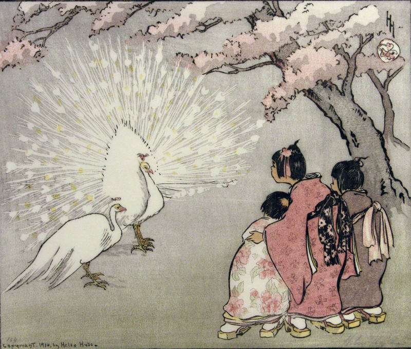 The White Peacock