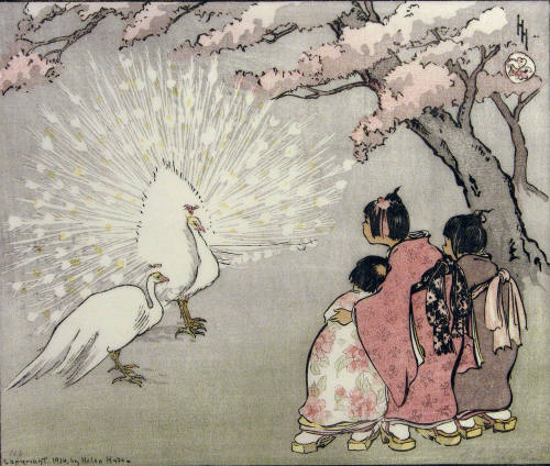 The White Peacock