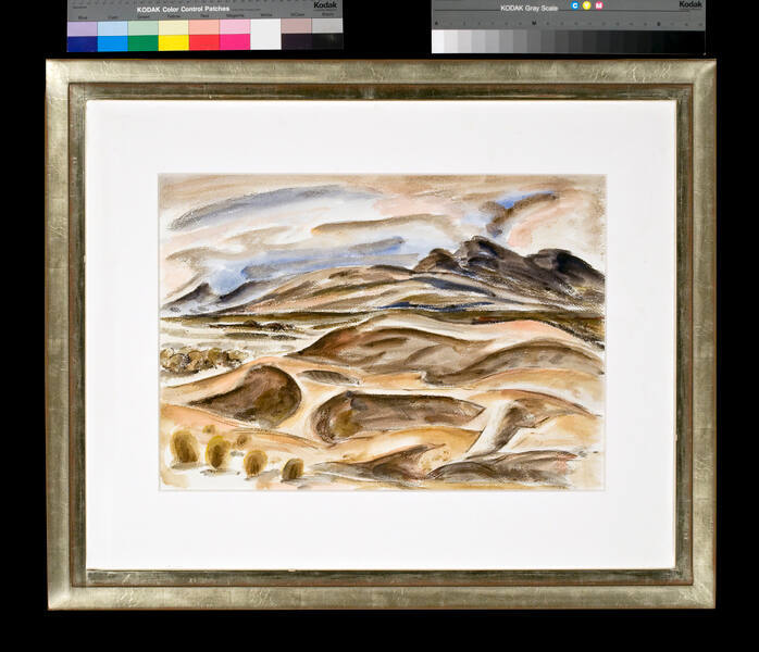 Untitled (New Mexican Desert)
