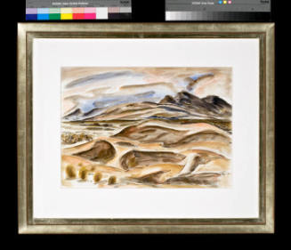 Untitled (New Mexican Desert)