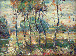 Birches