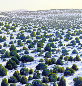 Twelve Months - December (Winter Solstice)