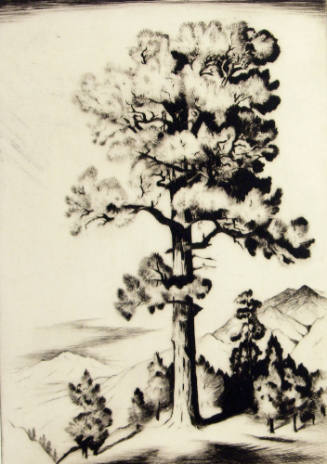 Western Pine