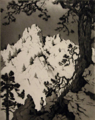 Late Sunlight in the Cliffs