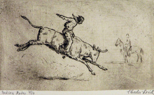 Indian Rodeo
