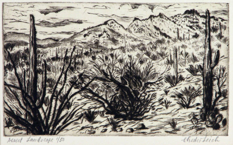 Desert Landscape