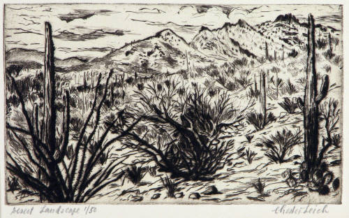 Desert Landscape