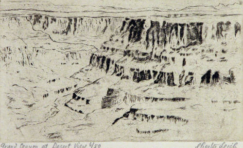 Grand Canyon at Desert View