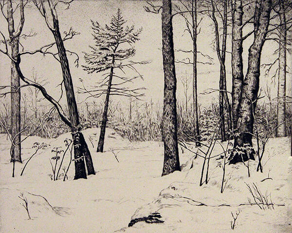 Winter Landscape