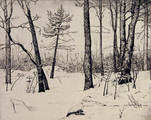 Winter Landscape