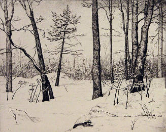 Winter Landscape