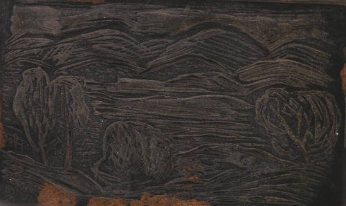 Untitled landscape