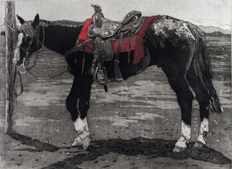 The Red Saddle Blanket