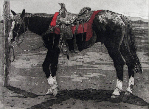The Red Saddle Blanket