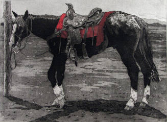 The Red Saddle Blanket