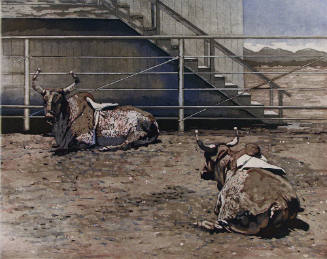 Down in the Bull Pen