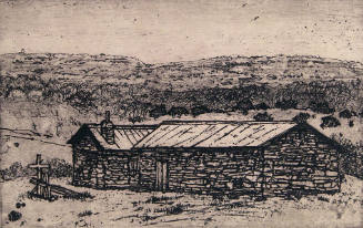 Tecolote Morada