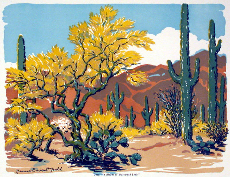 Desert in Bloom at Westward Look
