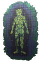 ad. Wood Tiled Painted Collage