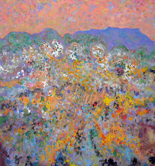New Mexico Landscape