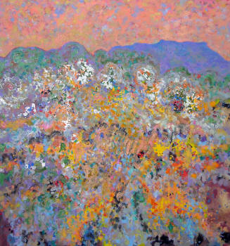 New Mexico Landscape