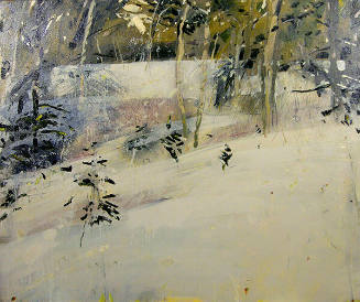 Midwinter Mountain