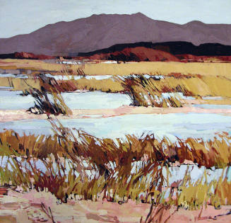 Bosque del Apache, March II