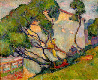 Trees on Hillside