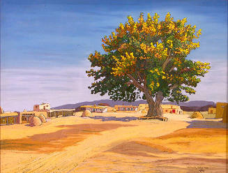 Cottonwood, San Ildefonso Plaza