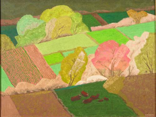 Sunlight and Shadows