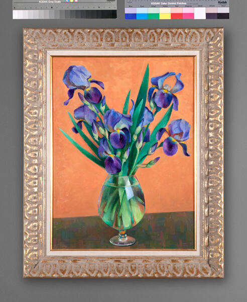 Purple Iris
